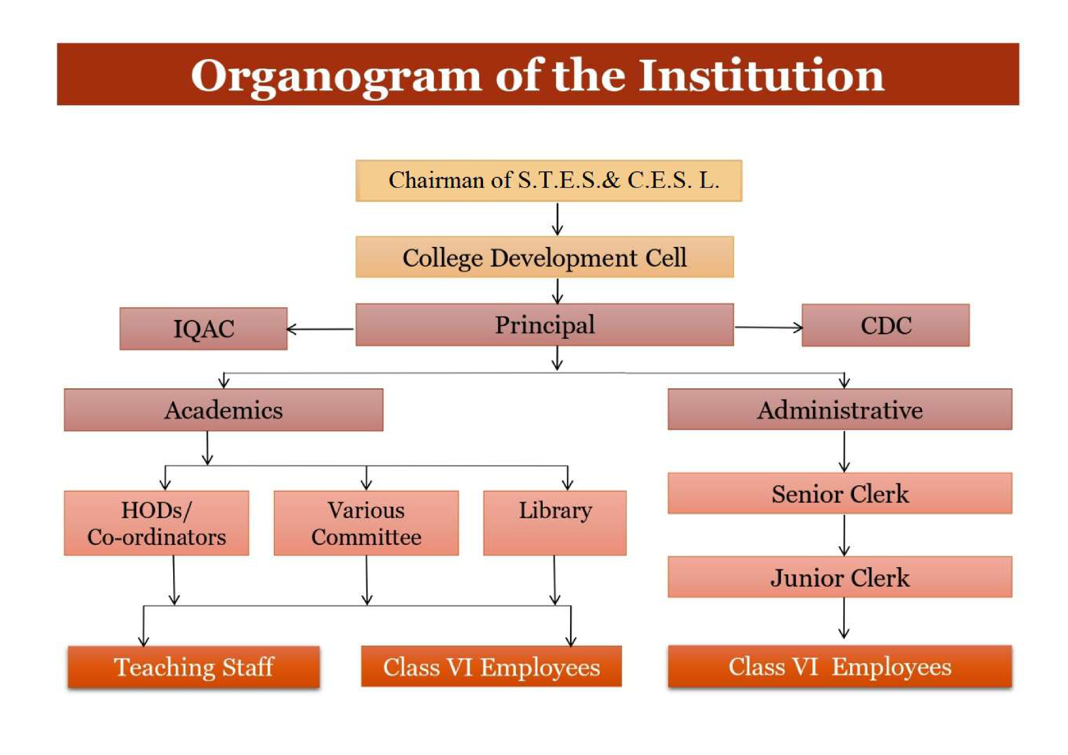 Organogram